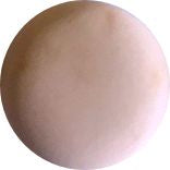 Sunkissed Peach Gallon